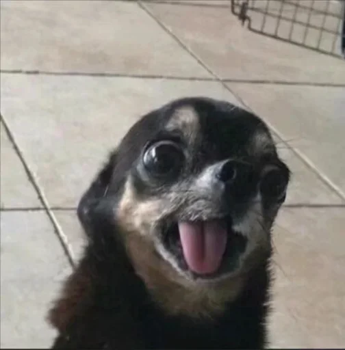 Стикер benti_meme - 1