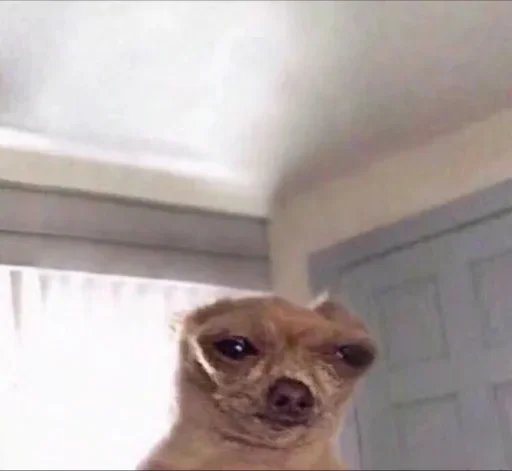 Стикер benti_meme - 1