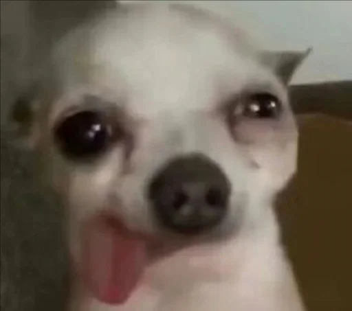 Sticker benti_meme - 1