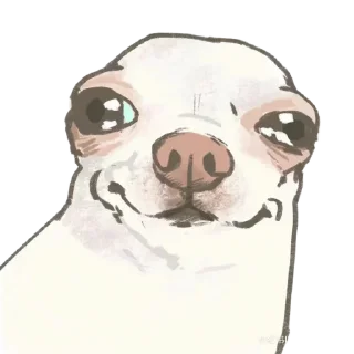 Sticker мемные собаки ➝ @benti_stickers - 7