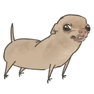 Sticker мемные собаки ➝ @benti_stickers - 6