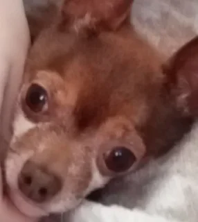 Sticker КАК УДАЛИТЬ!? - 8