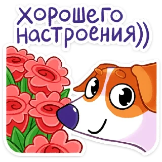 Стикер Пёсик Берт от @TgSticker - 11