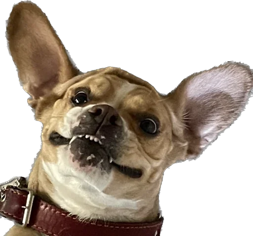 Машина и Катафалк - 