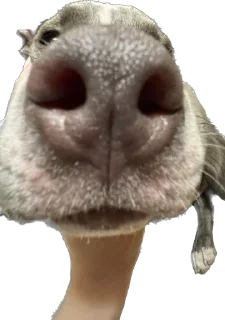 Стикер Машина и Катафалк - 3