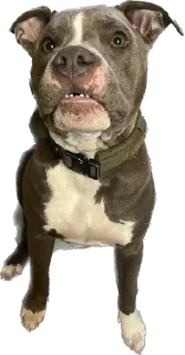 Стикер Машина и Катафалк - 11