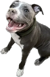 Стикер Машина и Катафалк - 8