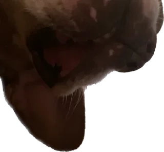 Стикер Машина и Катафалк - 2