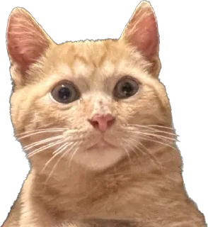 Стикер Машина и Катафалк - 7