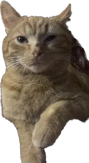 Стикер Машина и Катафалк - 10