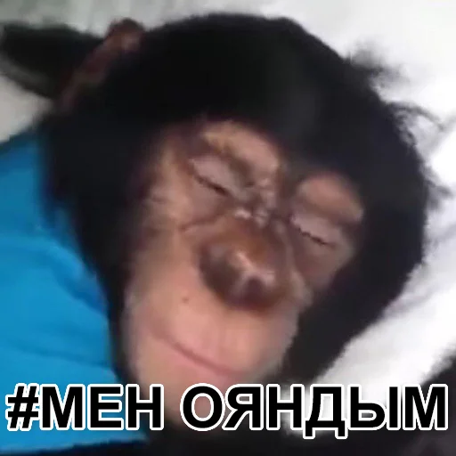 text human face skin