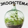 Экосистема - 