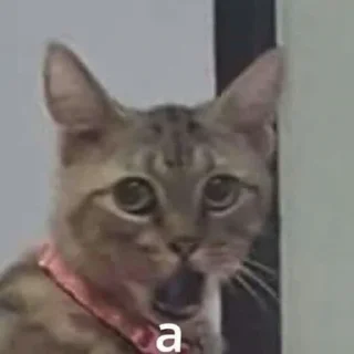 Sticker бести момент - 10