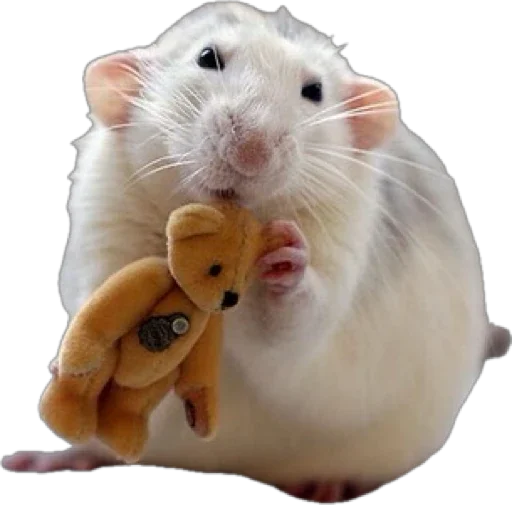 Sticker bestiesrats - 1