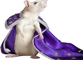 Стикер rats - 0