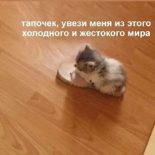 Стикер best_karpov favourites - 10