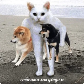 Стикер best_karpov favourites - 8