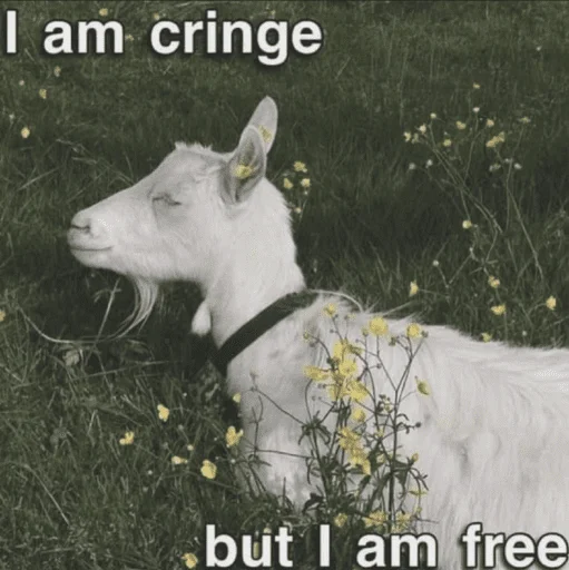 Стикер bestpack153 - 1