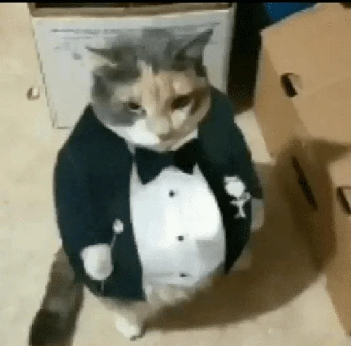 Sticker bestpack153 - 1