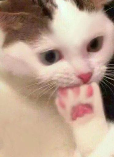 Стикер bestpack153 - 1