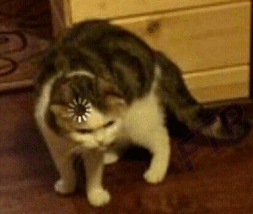 Sticker bestpack153 - 1