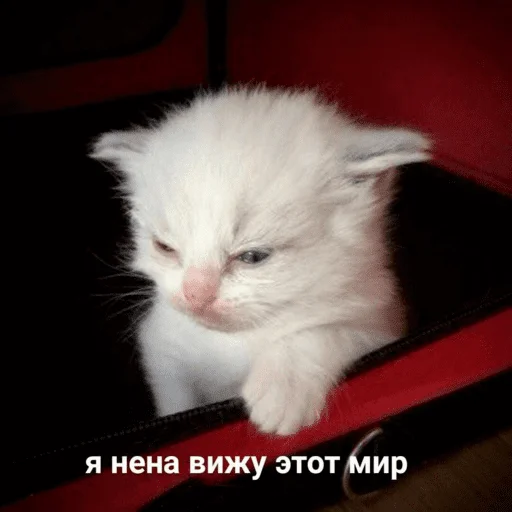 Стикер bestpack153 - 1