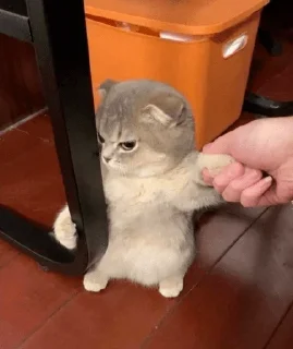 Стикер охуенный пэк - 1