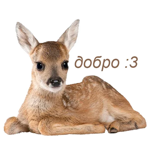 добрый пак от @betwaal - 