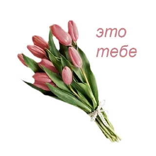 Sticker добрый пак от @betwaal - 11