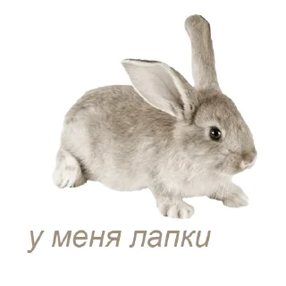 Sticker добрый пак от @betwaal - 8