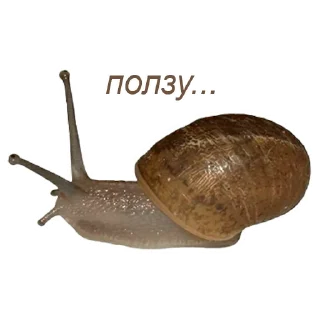 Sticker добрый пак от @betwaal - 2