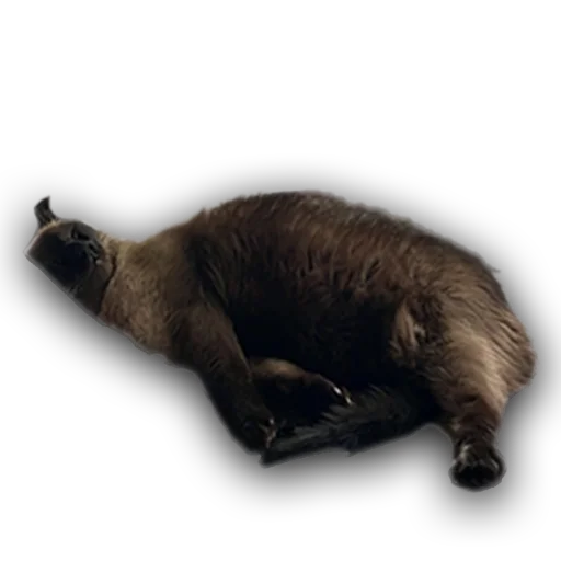 Sticker bez_vody - 1