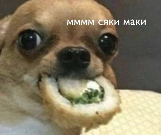 Стикер bez_vody - 1