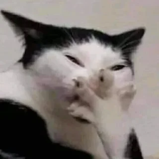 Sticker Без воды со вкусом - 5