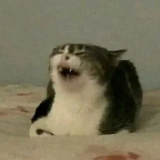 Sticker Без воды со вкусом - 6