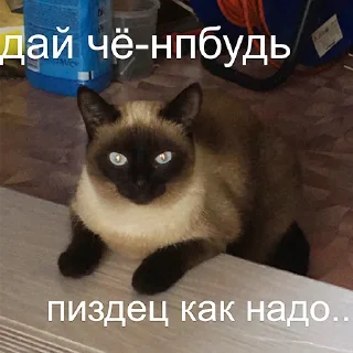 Sticker Без воды со вкусом - 11