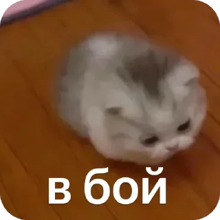 Стикер @beznogiignom - 7