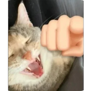 Стикер @beznogiignom - 3