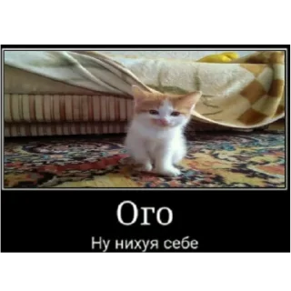 Стикер @beznogiignom - 5