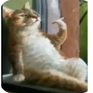 Стикер @beznogiignom - 1