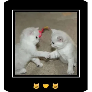 Стикер @beznogiignom - 6