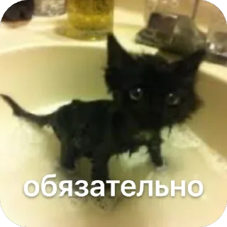 Стикер @beznogiignom - 4