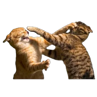 Стикер @beznogiignom - 9