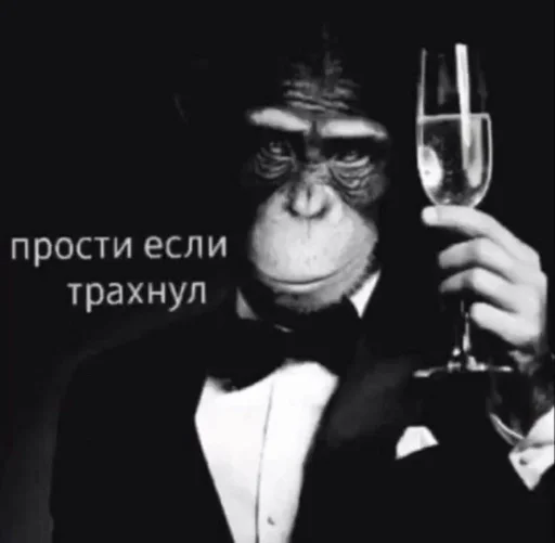 wine glass black and white person