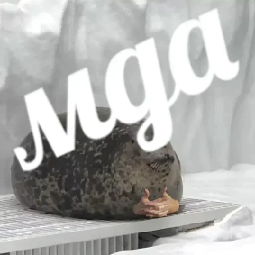 Стикер bgnLKxy_by_achestickbot - 1