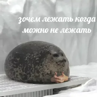 Sticker Больше стиков тут: @stikery4 - 3