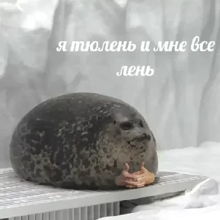 Sticker Больше стиков тут: @stikery4 - 6