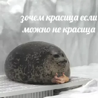 Sticker Больше стиков тут: @stikery4 - 10