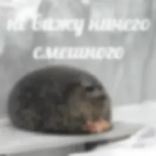 Sticker Больше стиков тут: @stikery4 - 0