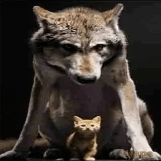 Sticker бионикл - 3